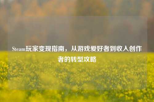 Steam玩家变现指南,从游戏爱好者到收入创作者的转型攻略