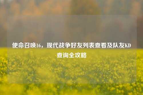 使命召唤16，现代战争好友列表查看及队友KD查询全攻略