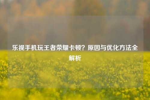 乐视手机玩王者荣耀卡顿？原因与优化方法全解析