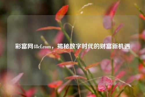 彩富网48cf.com，揭秘数字时代的财富新机遇