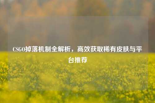 CSGO掉落机制全解析,高效获取稀有皮肤与平台推荐