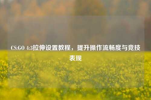 CS:GO 4:3拉伸设置教程，提升操作流畅度与竞技表现