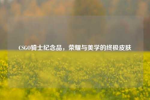 CSGO骑士纪念品，荣耀与美学的终极皮肤