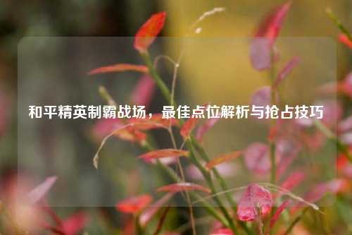 和平精英制霸战场,最佳点位解析与抢占技巧