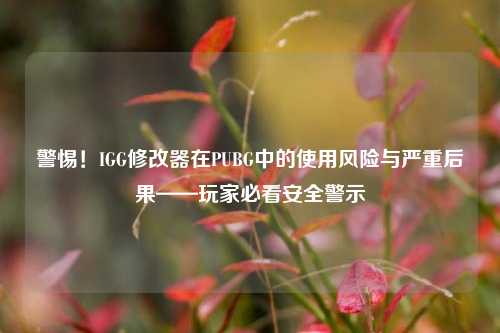 警惕！IGG修改器在PUBG中的使用风险与严重后果——玩家必看安全警示