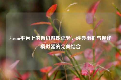 Steam平台上的街机游戏体验，经典街机与现代模拟器的完美结合