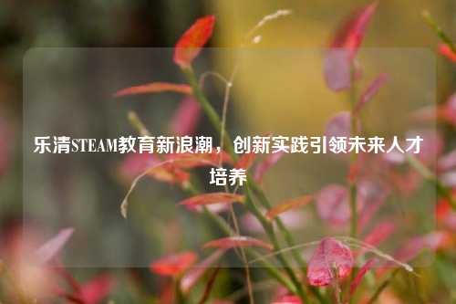 乐清STEAM教育新浪潮，创新实践引领未来人才培养