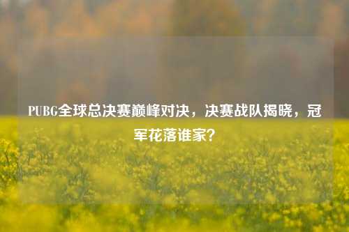 PUBG全球总决赛巅峰对决,决赛战队揭晓,冠军花落谁家?