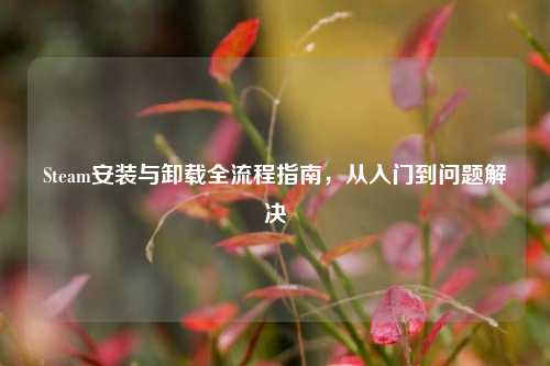 Steam安装与卸载全流程指南，从入门到问题解决