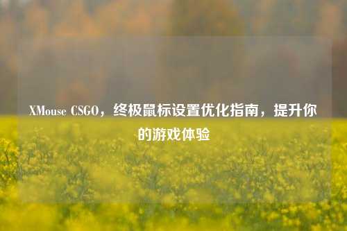 XMouse CSGO，终极鼠标设置优化指南，提升你的游戏体验