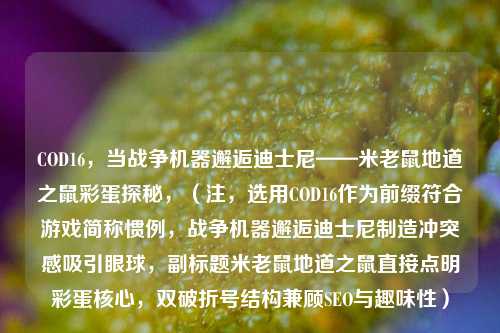 COD16，当战争机器邂逅迪士尼——米老鼠地道之鼠彩蛋探秘，（注，选用COD16作为前缀符合游戏简称惯例，战争机器邂逅迪士尼制造冲突感吸引眼球，副标题米老鼠地道之鼠直接点明彩蛋核心，双破折号结构兼顾SEO与趣味性）