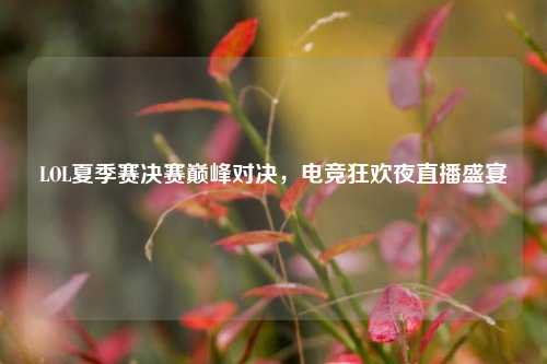 LOL夏季赛决赛巅峰对决，电竞狂欢夜直播盛宴
