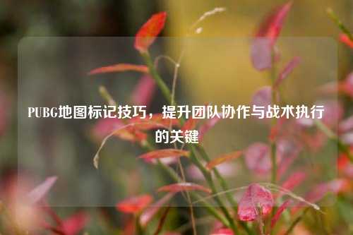 PUBG地图标记技巧，提升团队协作与战术执行的关键