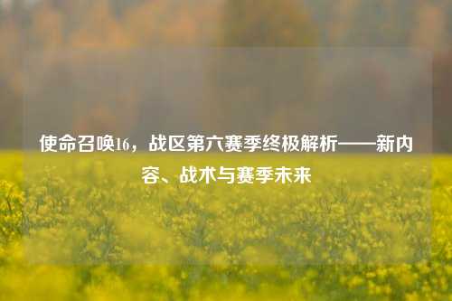 使命召唤16，战区第六赛季终极解析——新内容、战术与赛季未来