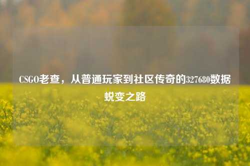 CSGO老查，从普通玩家到社区传奇的327680数据蜕变之路