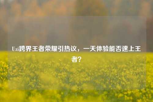 Uzi跨界王者荣耀引热议，一天体验能否速上王者？