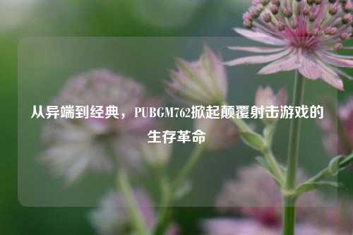 从异端到经典,PUBGM762掀起颠覆射击游戏的生存革命
