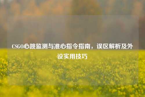 CSGO心跳监测与准心指令指南，误区解析及外设实用技巧