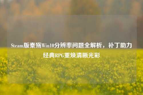 Steam版秦殇Win10分辨率问题全解析，补丁助力经典RPG重焕清晰光彩