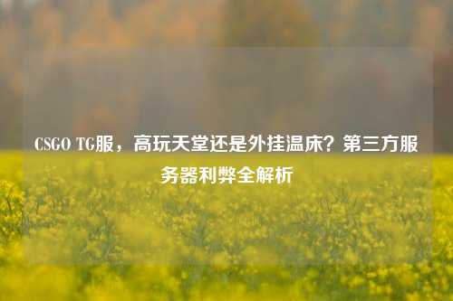 CSGO TG服，高玩天堂还是外挂温床？第三方服务器利弊全解析