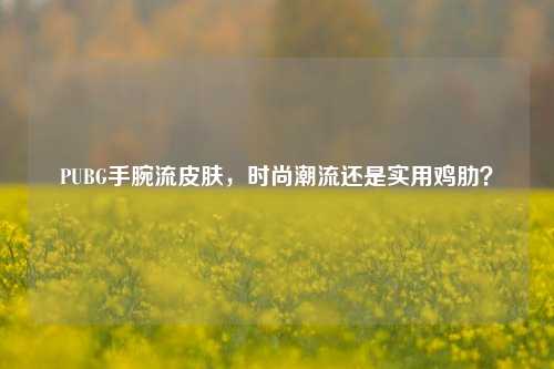 PUBG手腕流皮肤,时尚潮流还是实用鸡肋?