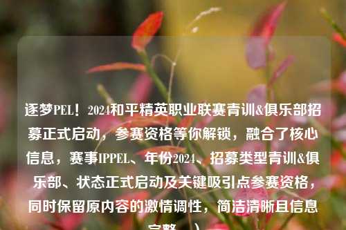 逐梦PEL！2024和平精英职业联赛青训&俱乐部招募正式启动，参赛资格等你解锁，融合了核心信息，赛事IPPEL、年份2024、招募类型青训&俱乐部、状态正式启动及关键吸引点参赛资格，同时保留原内容的激情调性，简洁清晰且信息完整。）