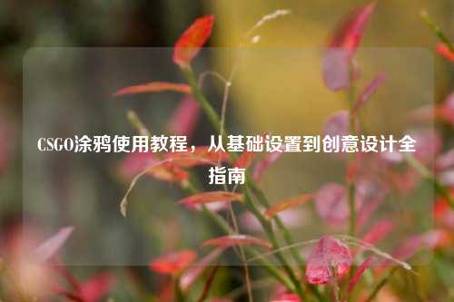 CSGO涂鸦使用教程,从基础设置到创意设计全指南