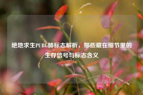 绝地求生PUBG肺标志解析,那些藏在细节里的生存信号与标志含义
