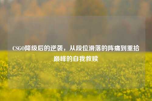 CSGO降级后的逆袭，从段位滑落的阵痛到重拾巅峰的自我救赎