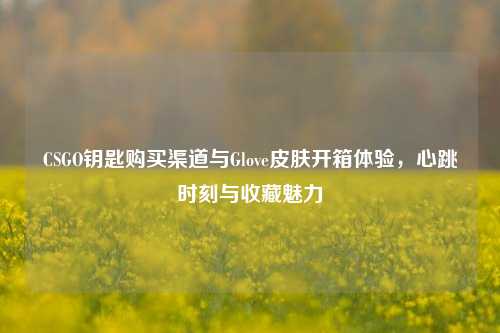 CSGO钥匙购买渠道与Glove皮肤开箱体验,心跳时刻与收藏魅力