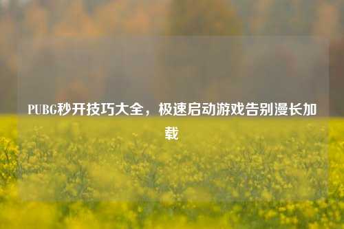 PUBG秒开技巧大全,极速启动游戏告别漫长加载