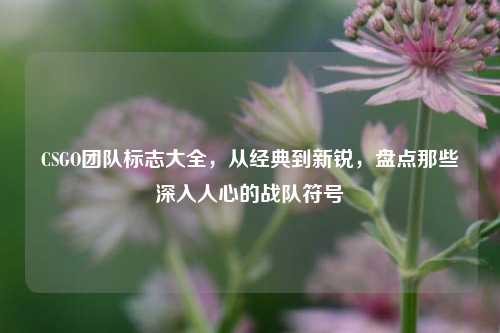 CSGO团队标志大全,从经典到新锐,盘点那些深入人心的战队符号
