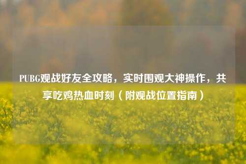 PUBG观战好友全攻略,实时围观大神操作,共享吃鸡热血时刻(附观战位置指南)