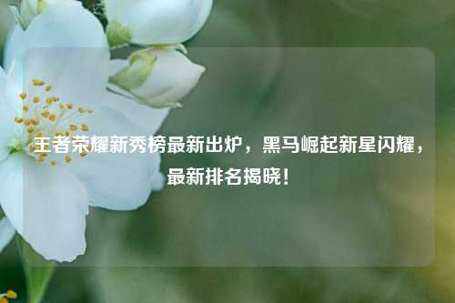 王者荣耀新秀榜最新出炉，黑马崛起新星闪耀，最新排名揭晓！