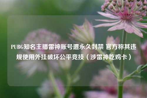 PUBG知名主播雷神账号遭永久封禁 官方称其违规使用外挂破坏公平竞技(涉雷神吃鸡卡)