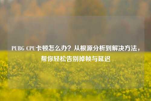 PUBG CPU卡顿怎么办？从根源分析到解决方法，帮你轻松告别掉帧与延迟
