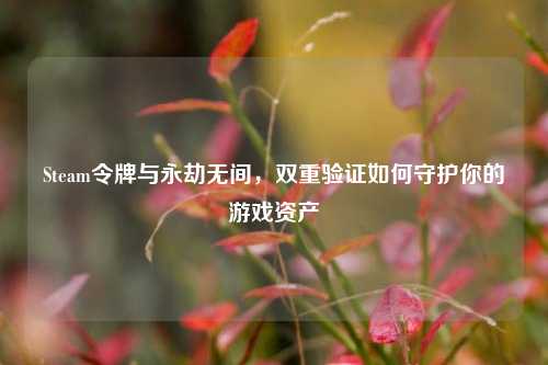 Steam令牌与永劫无间，双重验证如何守护你的游戏资产