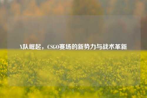 X队崛起，CSGO赛场的新势力与战术革新