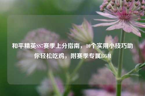 和平精英SS7赛季上分指南，10个实用小技巧助你轻松吃鸡，附赛季专属BGM