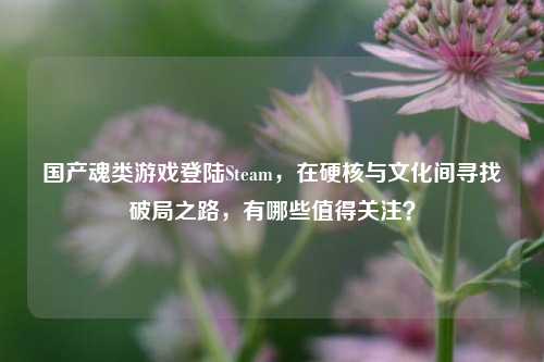 国产魂类游戏登陆Steam，在硬核与文化间寻找破局之路，有哪些值得关注？