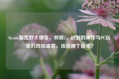Steam版荒野大镖客,救赎2,迟到的神作与PC玩家的西部盛宴,该选哪个版本?
