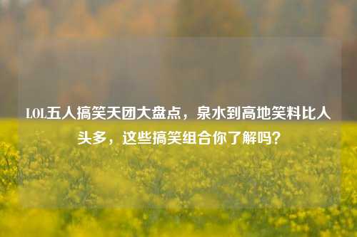 LOL五人搞笑天团大盘点,泉水到高地笑料比人头多,这些搞笑组合你了解吗?