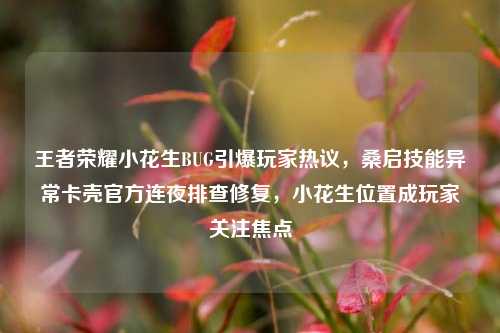 王者荣耀小花生BUG引爆玩家热议,桑启技能异常卡壳官方连夜排查修复,小花生位置成玩家关注焦点