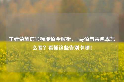 王者荣耀信号标准值全解析,ping值与丢包率怎么看?看懂这些告别卡顿!