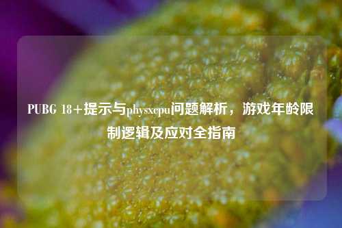 PUBG 18+提示与physxcpu问题解析,游戏年龄限制逻辑及应对全指南