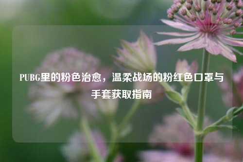 PUBG里的粉色治愈，温柔战场的粉红色口罩与手套获取指南