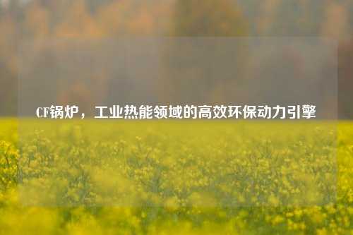 CF锅炉,工业热能领域的高效环保动力引擎