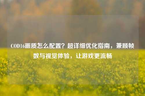 COD16画质怎么配置?超详细优化指南,兼顾帧数与视觉体验,让游戏更流畅
