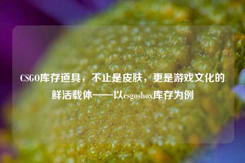 CSGO库存道具,不止是皮肤,更是游戏文化的鲜活载体——以csgoshox库存为例