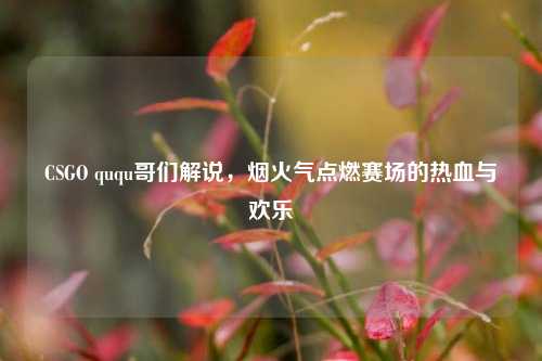 CSGO ququ哥们解说，烟火气点燃赛场的热血与欢乐